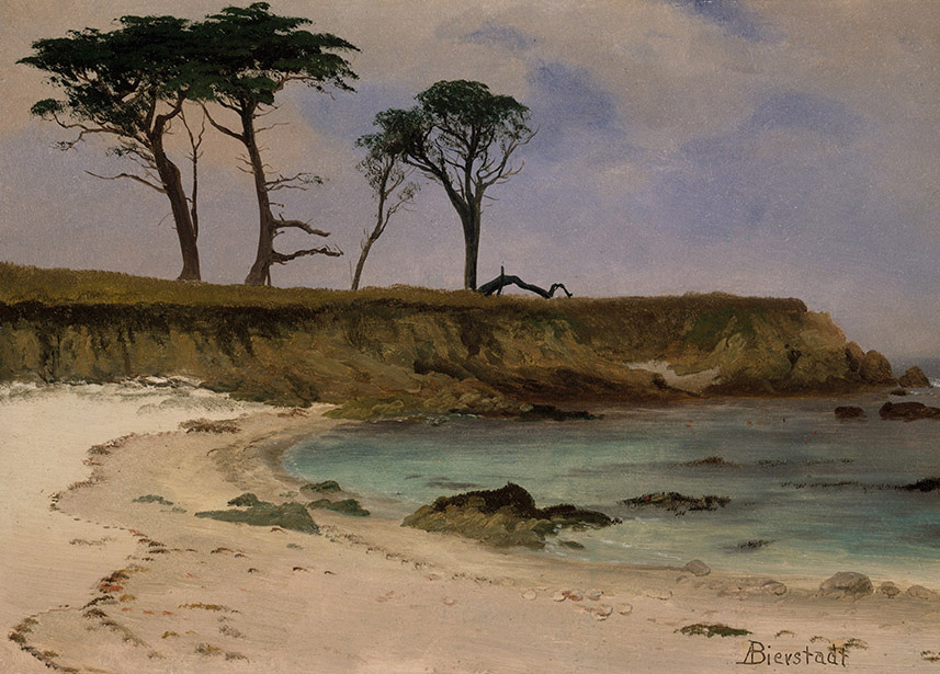 Sea Cove by Albert Bierstadt